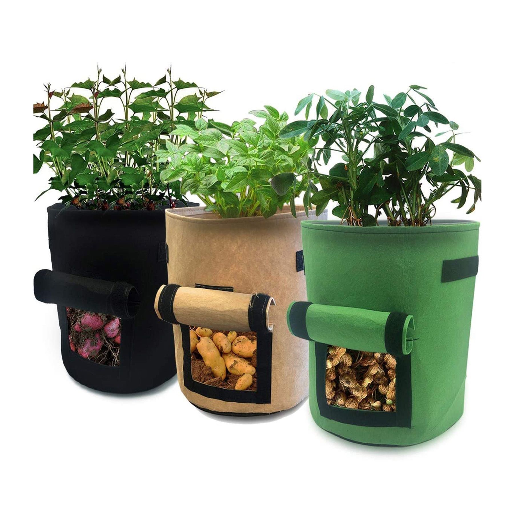Grow Kit