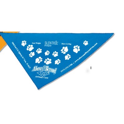 Printed Triangular Rally Flag