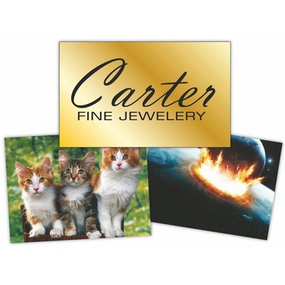 Paper Poster (Non-Adhesive) 48"x60"