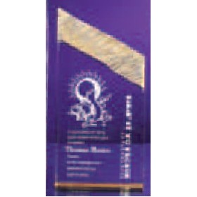 Carved Acrylic Tower Award w/Gold Highlights (6")