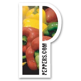 USA Made Premium UV Window Micro-Suction Cling Decal (2"x3.5") P Shape
