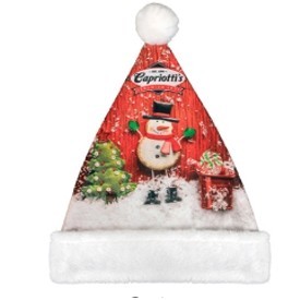 Full Color Santa Hat