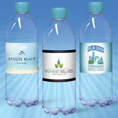 16.9 Oz. Custom Labeled Water in Clear "Bullet" Bottle w/Berry Blue Cap
