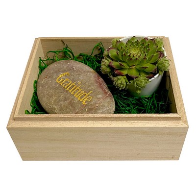 Gratitude Succulent Gift Box