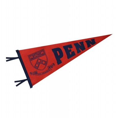 Full Color Triangle Shaped Felt Banner