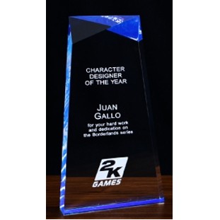 Lucite Lexus Award (9½''x4¾'')