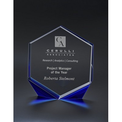 Omni Award
