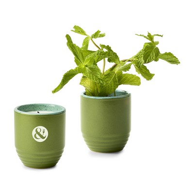 Modern Sprout® Garden Vibes Candle/Planter - In The Weeds-Mint