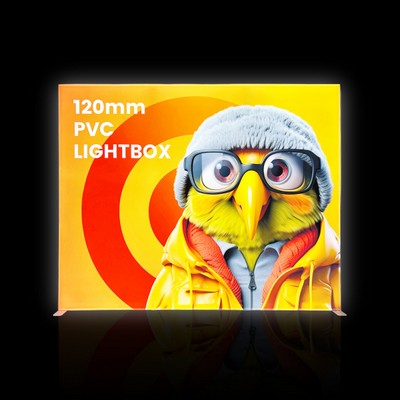 10'W x 8'H PVC SEG Lightbox Tooless Double Sided Print(Frame+Fabric)
