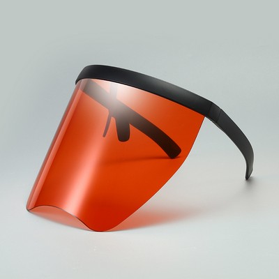 Face Shield Visor