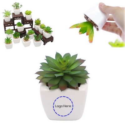 Faux Succulents Plants In Pots