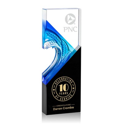 Baywell Award - Black