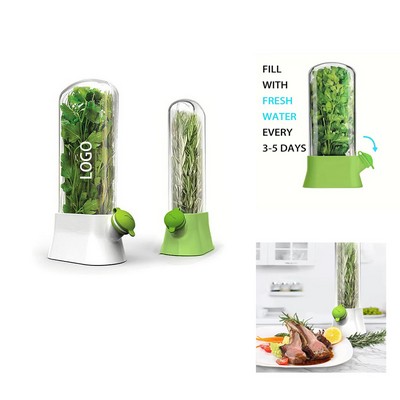 Clear Plastic Herb Saver Eco Friendly Food Container