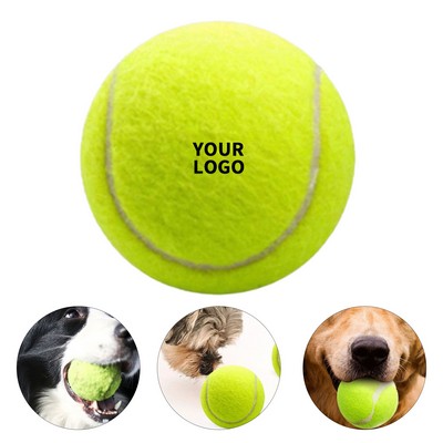 Dog Play Training Tennis Ball