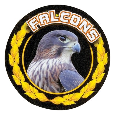 2" Falcons Mascot Mylar Medallion Insert Disc