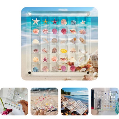 Acrylic Seashell Display Box