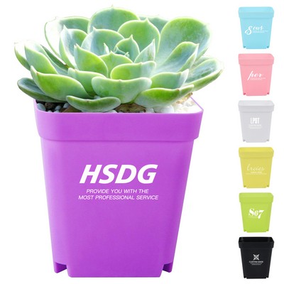 Small Plastic Plant Pot