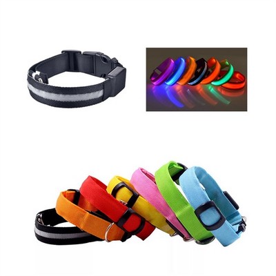 Light Up Dog Collars