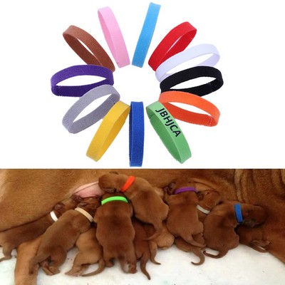 Pets Identify Collars