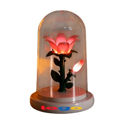 A Petite Night Light For Ambiance