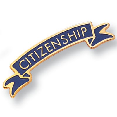 Etched Enameled School Citizenship Pin