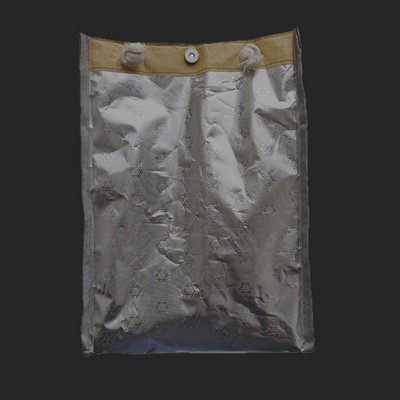 Paper Bag Lunch Cooler