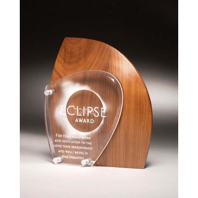 Point Break Award (9")