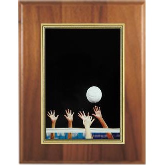 5" X 7" Cherry Plaque with a "Volleyball" 3 7/8" x 5 7/8" Hi-Definition Plate