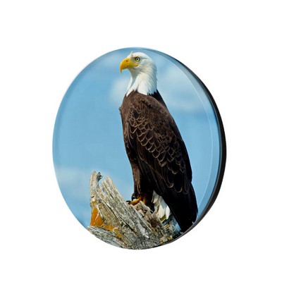 Full-Color Oval Acrylic Fridge Magnet – 4mm Acrylic