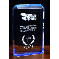 Lucite Prestige Award (7½''x4¾'')