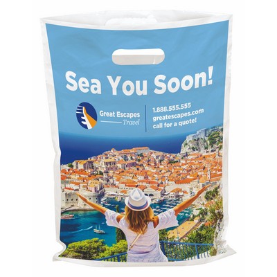 Digital Full Color 1-Sided Plastic Bag (12" x 16")