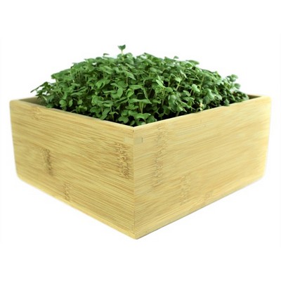 Microgreens Refill Kit
