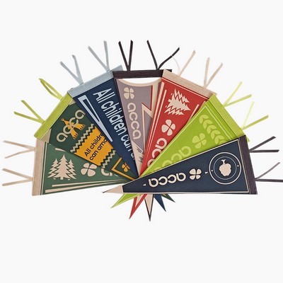 Felt Triangular Pennant
