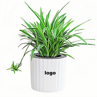 Elegant Gold Rimmed Peace Lily Indoor Plant Pot