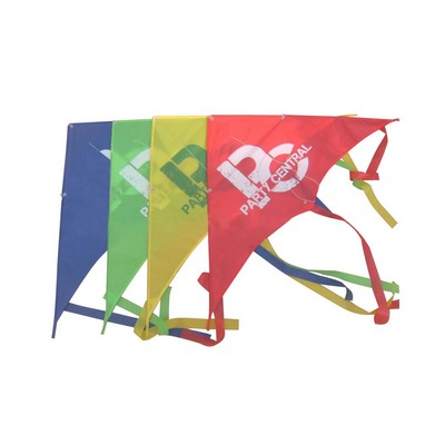 Custom Triangle Kite