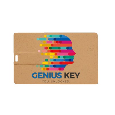 Broadview Eco-Friendly Card USB-2G