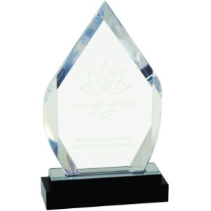Fusion Diamond Acrylic Award with Crystal Base, Silver, 8"H