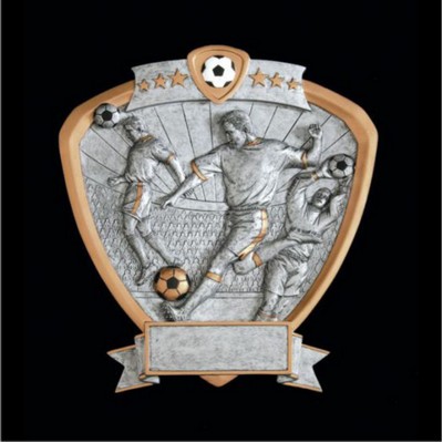 Male Soccer Signature Shield Award