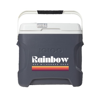 Igloo® Versatemp 28 Qt. Portable Electric Cooler