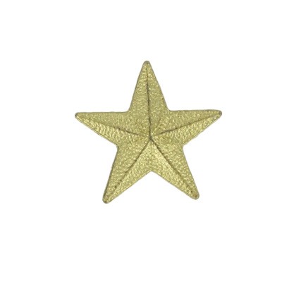 Large Gold Star Chenille Pin