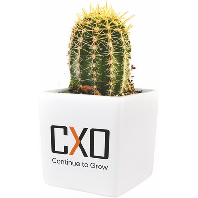 Cactus Growing Gift Kit w/Ceramic Pot