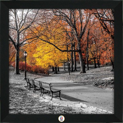 "Park Pretty" Art Print W/ Color Medallion