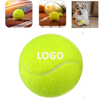 Pet Training Tennis