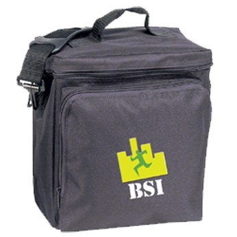 Insulated Picnic Cooler (9 1/2"x11")