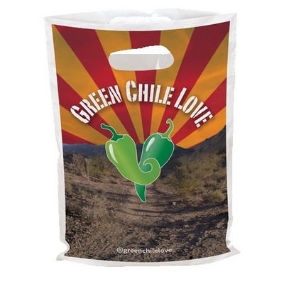 Digital Full Color 2-Sided Plastic Bag (9" x 13")