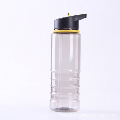 24Oz.Translucent Water Bottle Straw Cup