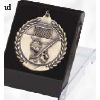 Black Lined Medal Presentation Case