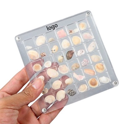 Acrylic Magnetic Seashell Display Box