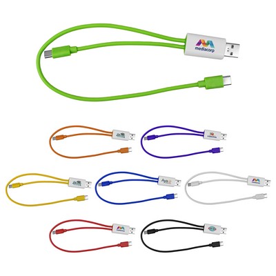 Dual Input A + C to C Accent Cable