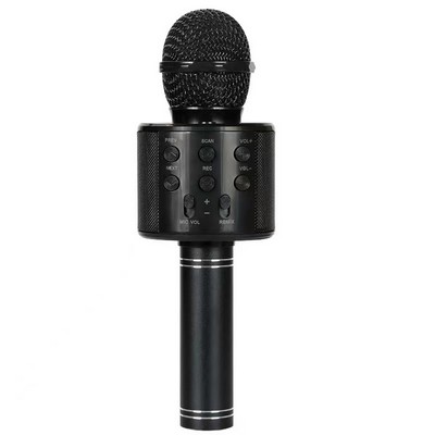 Microphone for Children